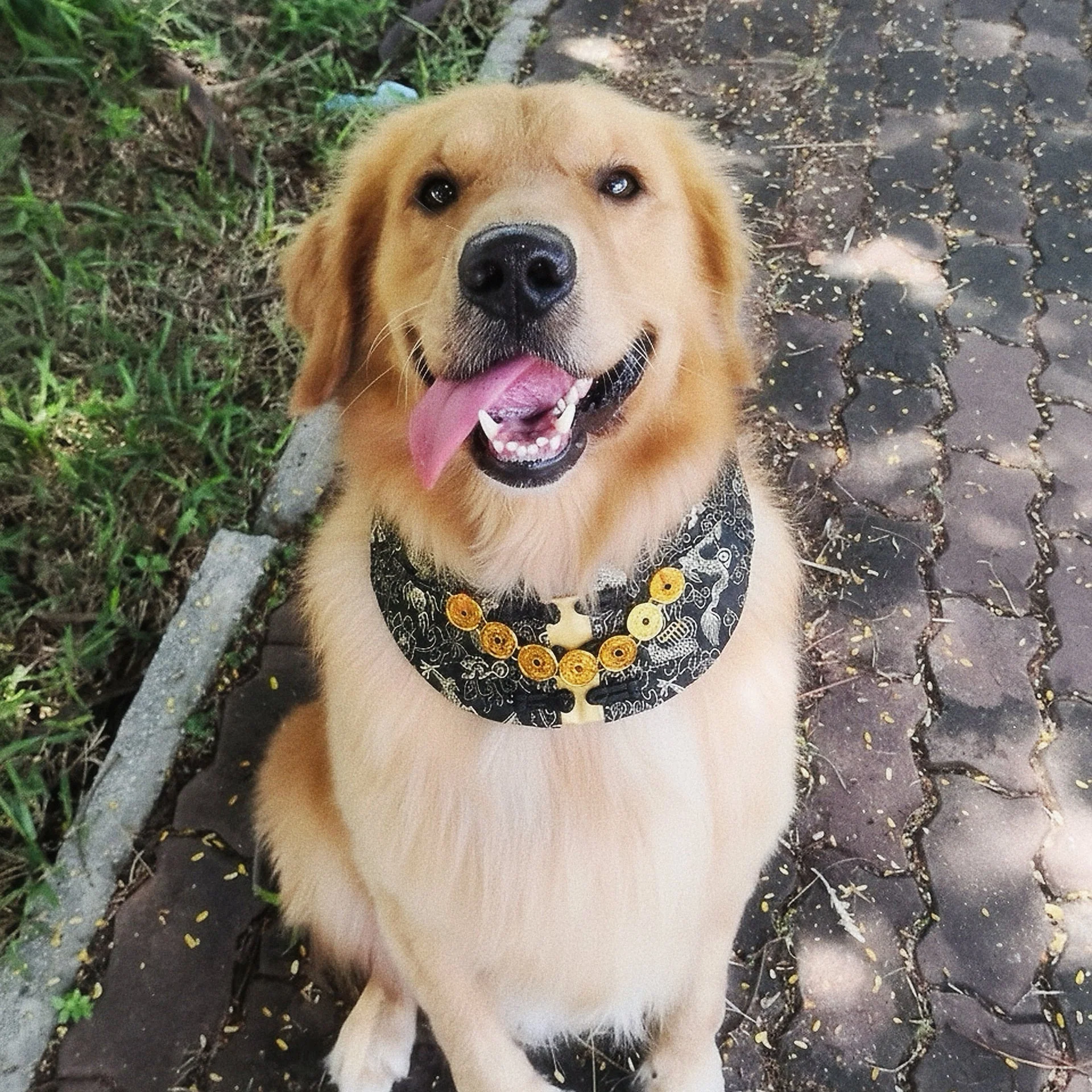 MOMOJI Amulet 金寶