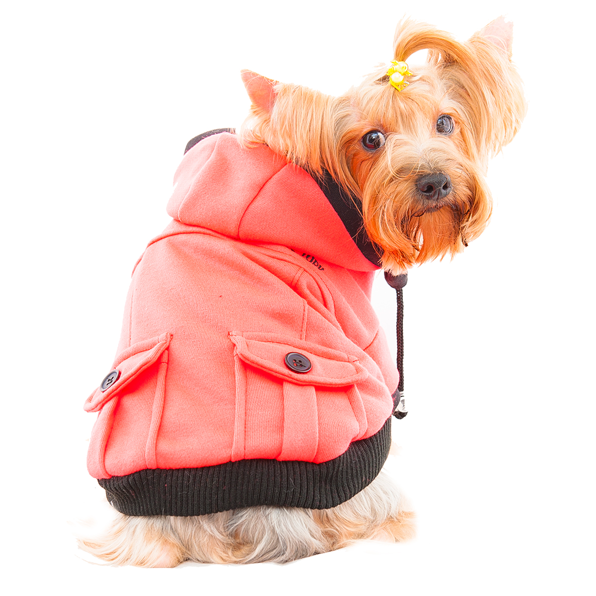 S561R DDC 衛衣外套-紅色 DDC sweatshirt jacket-red
