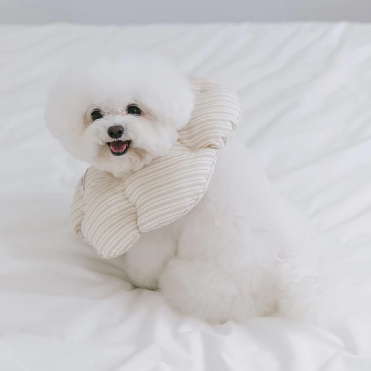 *BiteMe🇰🇷Cloud Neck Collar (4 sizes)