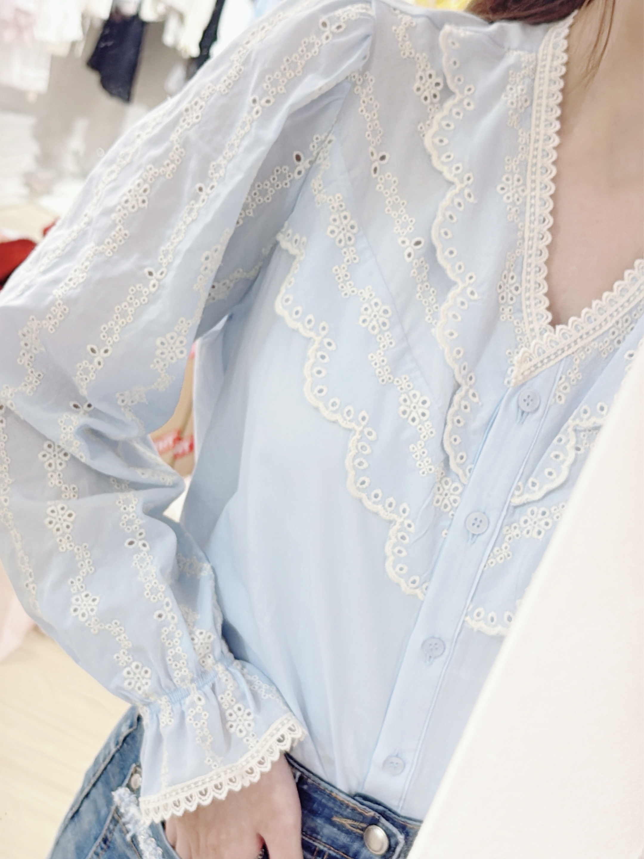 Delicate Embroidered Ruffle Blouse