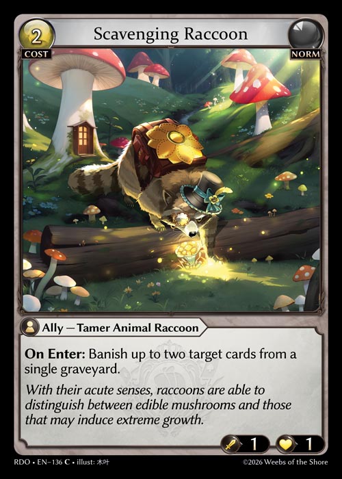 Scavenging Raccoon / RDO-136 (C)