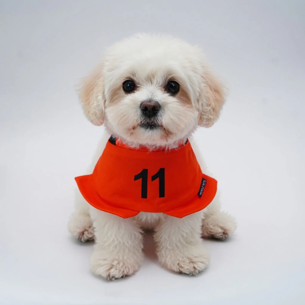 Momoji FC (3-Amsterdam Orange) | Pet Neckwear