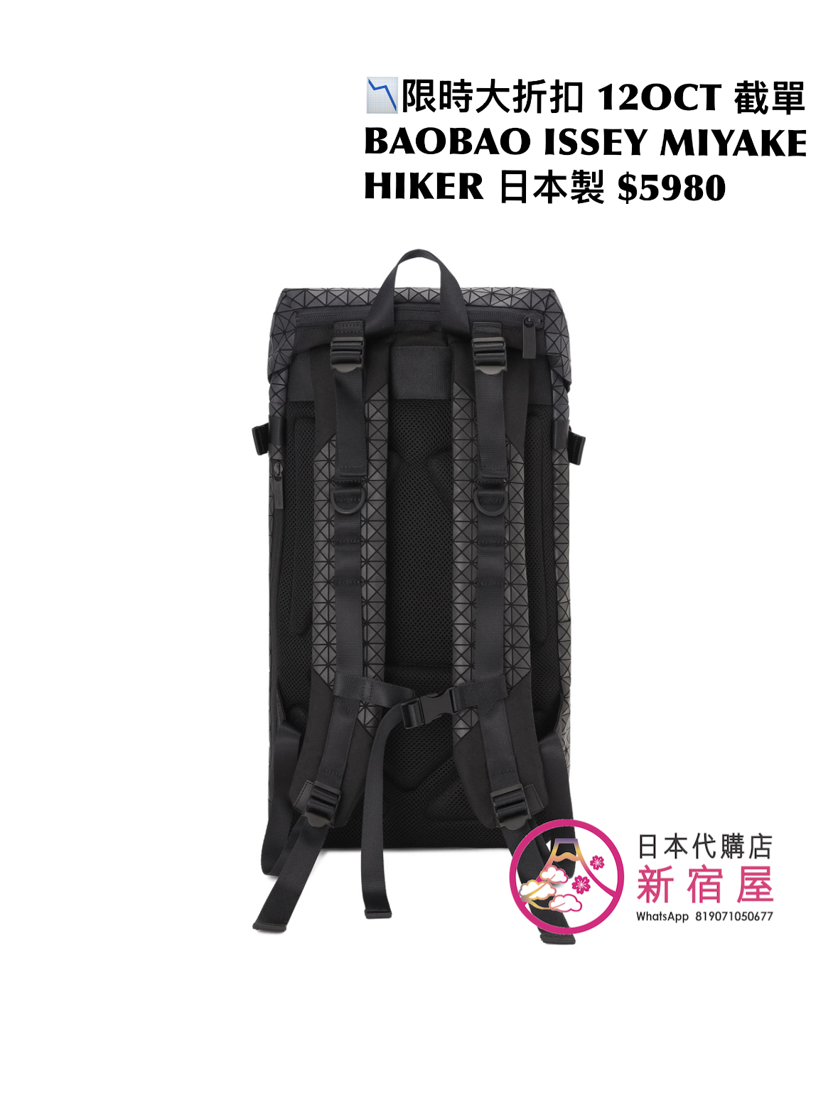 BAOBAO ISSEY MIYAKE HIKER