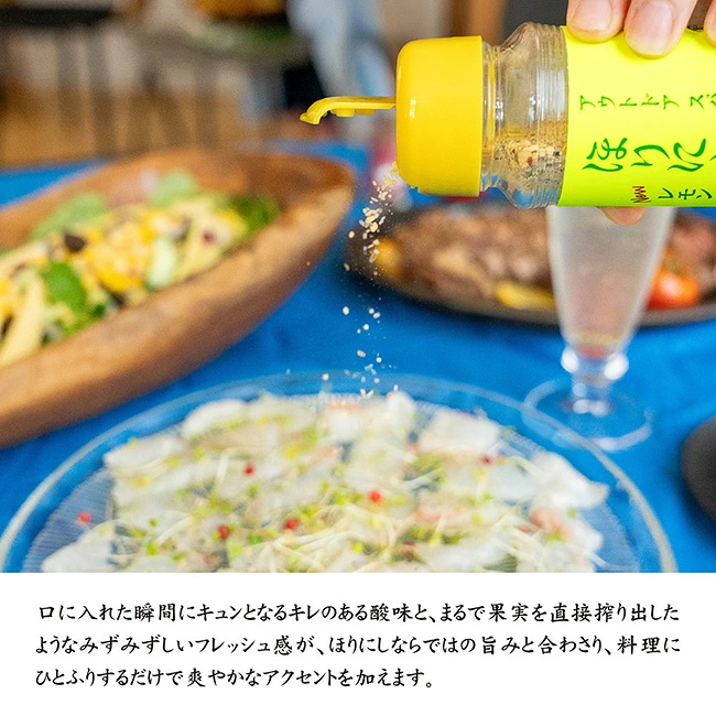 日本 HORINISHI 堀西 檸檬口味萬能調味粉 100g