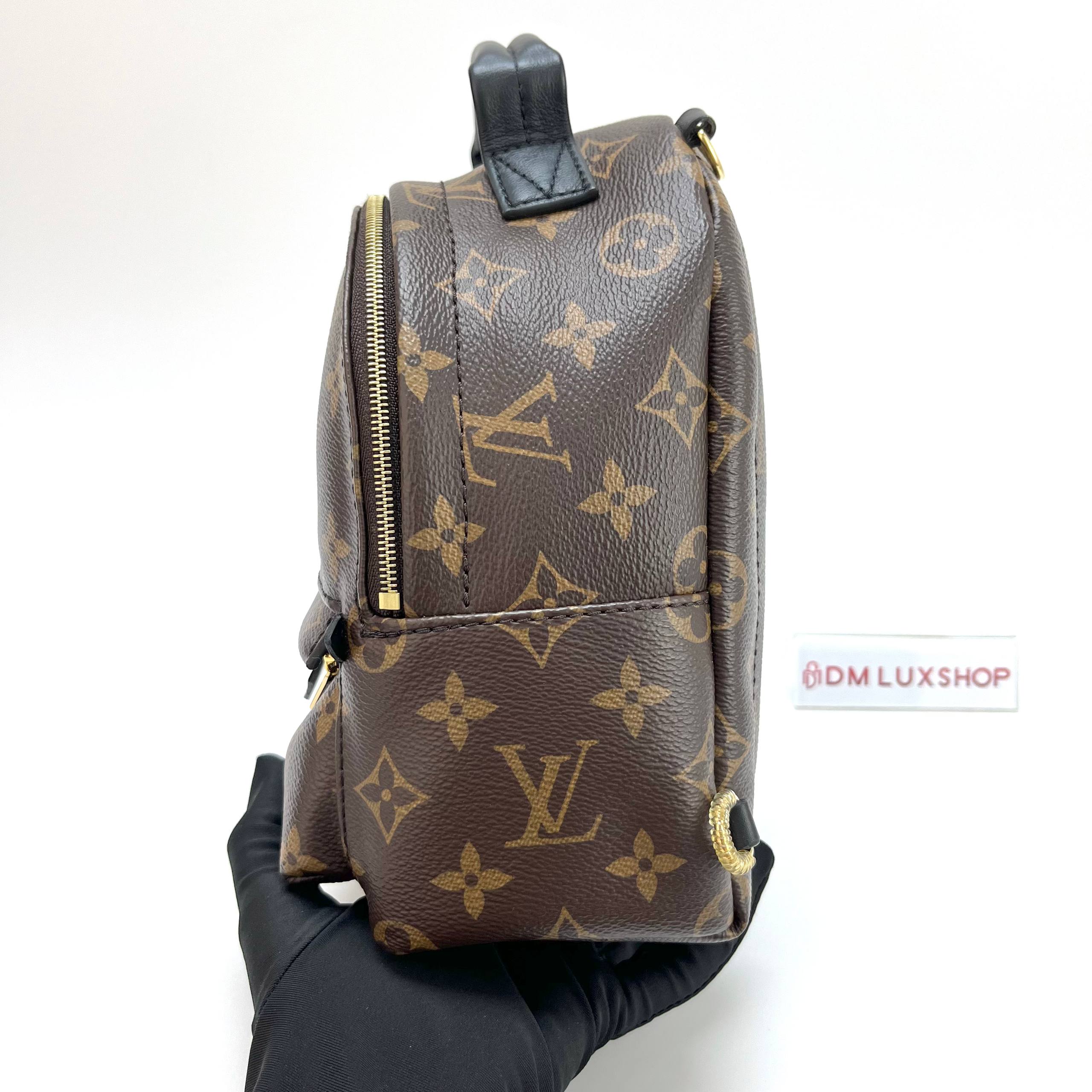 LV Monogram Palm Springs Mini GHW