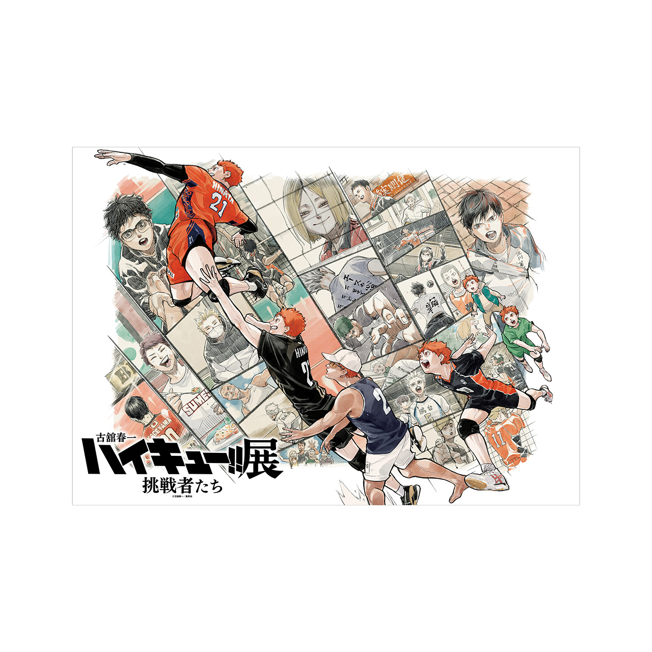 排球少年!!挑戰者們展覽周邊｜日本東京場販代購預約
