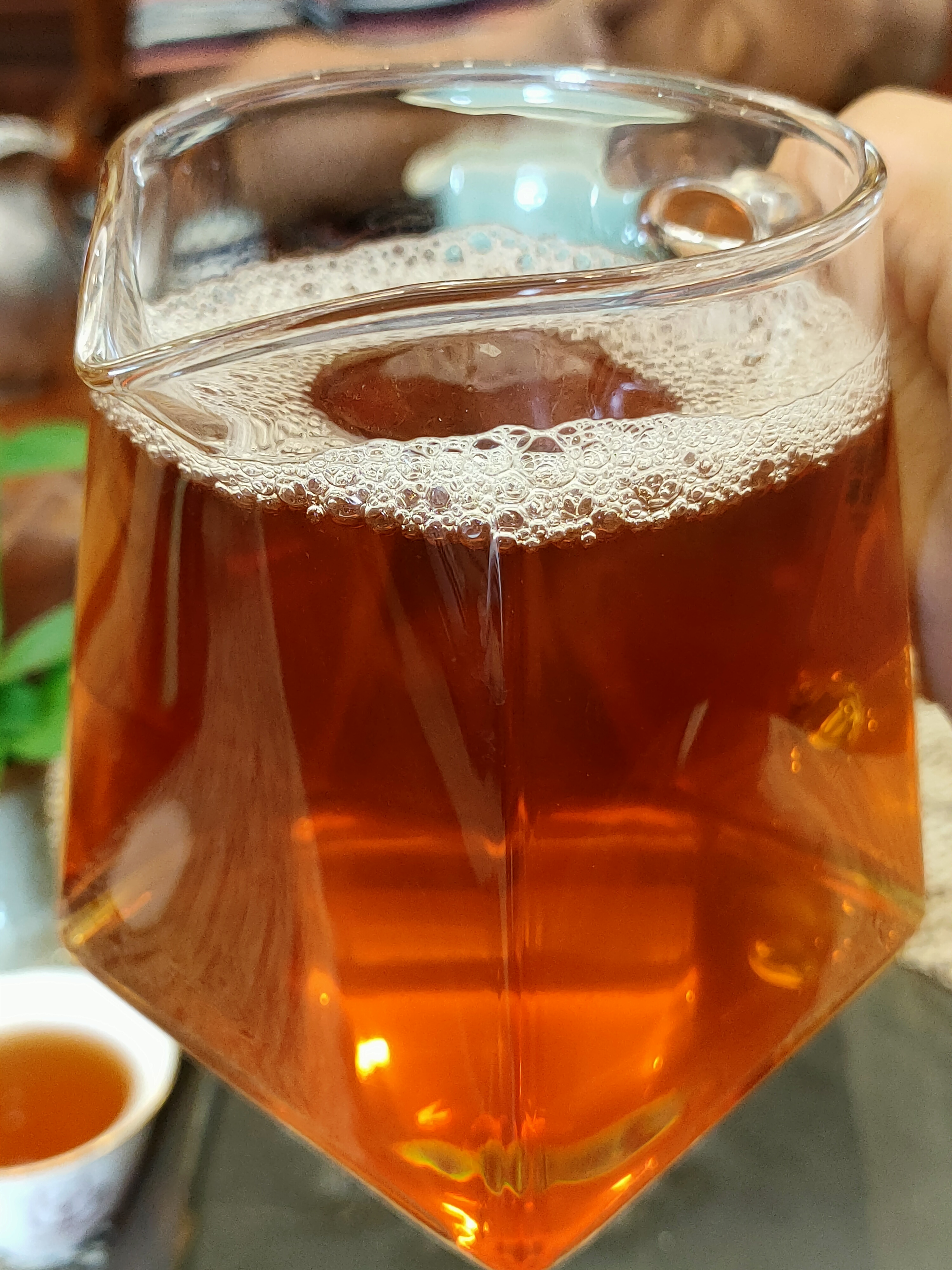 2009年 早春 - 布朗山大樹茶