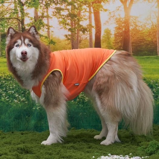 *Super Pet🇰🇷狗狗涼感背心(DG416) 尺碼S-6XL