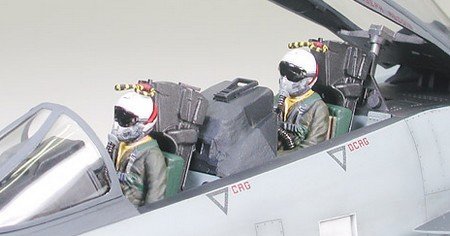 1/32 F-14A Tomcat "VF-154 Black Knights"