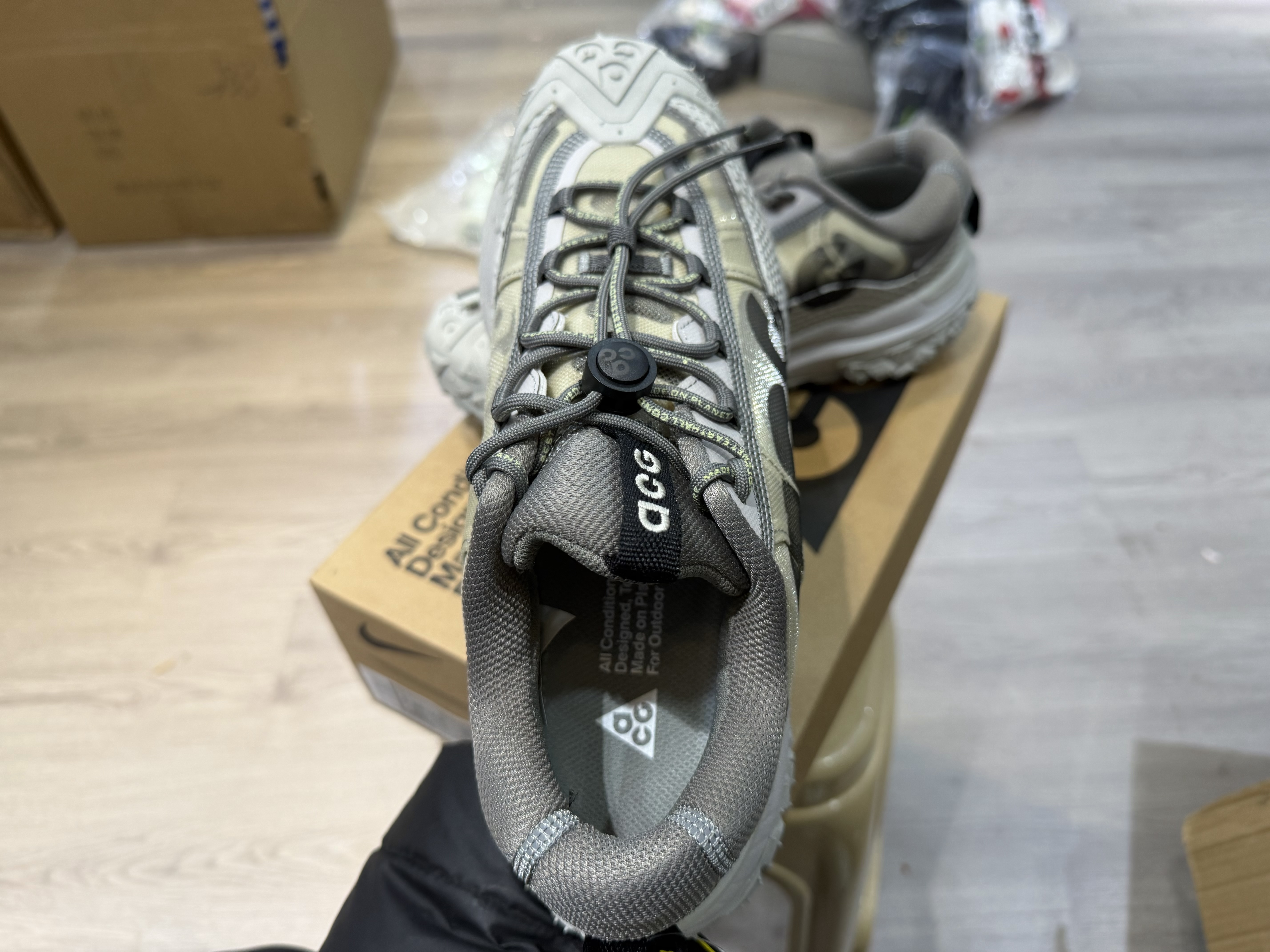 Nike ACG Mountain Fly 2 Low