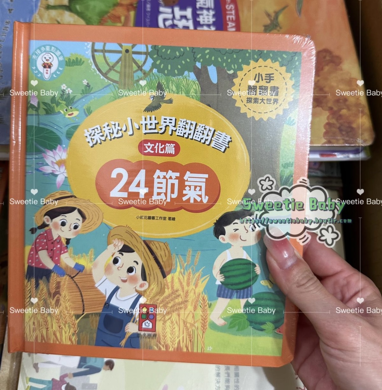 🔸現貨🔸探秘小世界翻翻書-24節氣