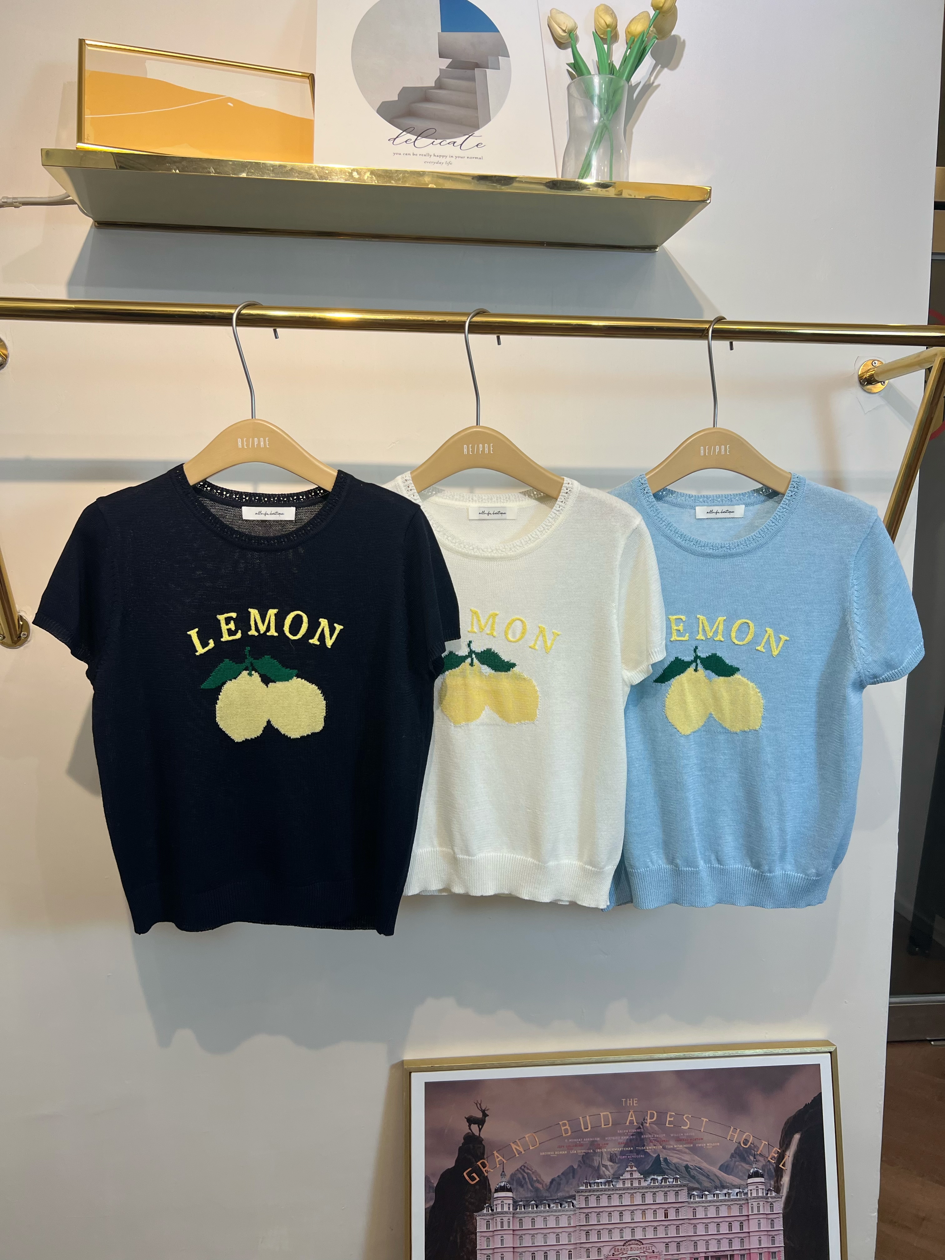 🍋𝑳𝒆𝒎𝒐𝒏 𝑻𝒐𝒑