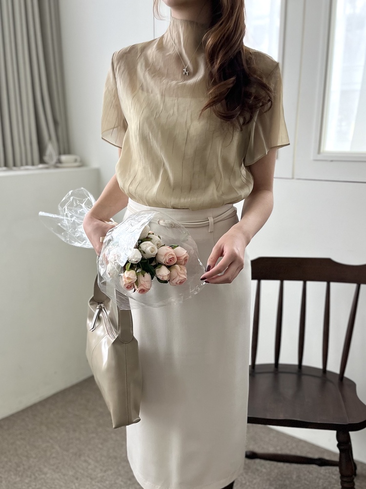 Airy Sheer Crinkle Top (Brown)