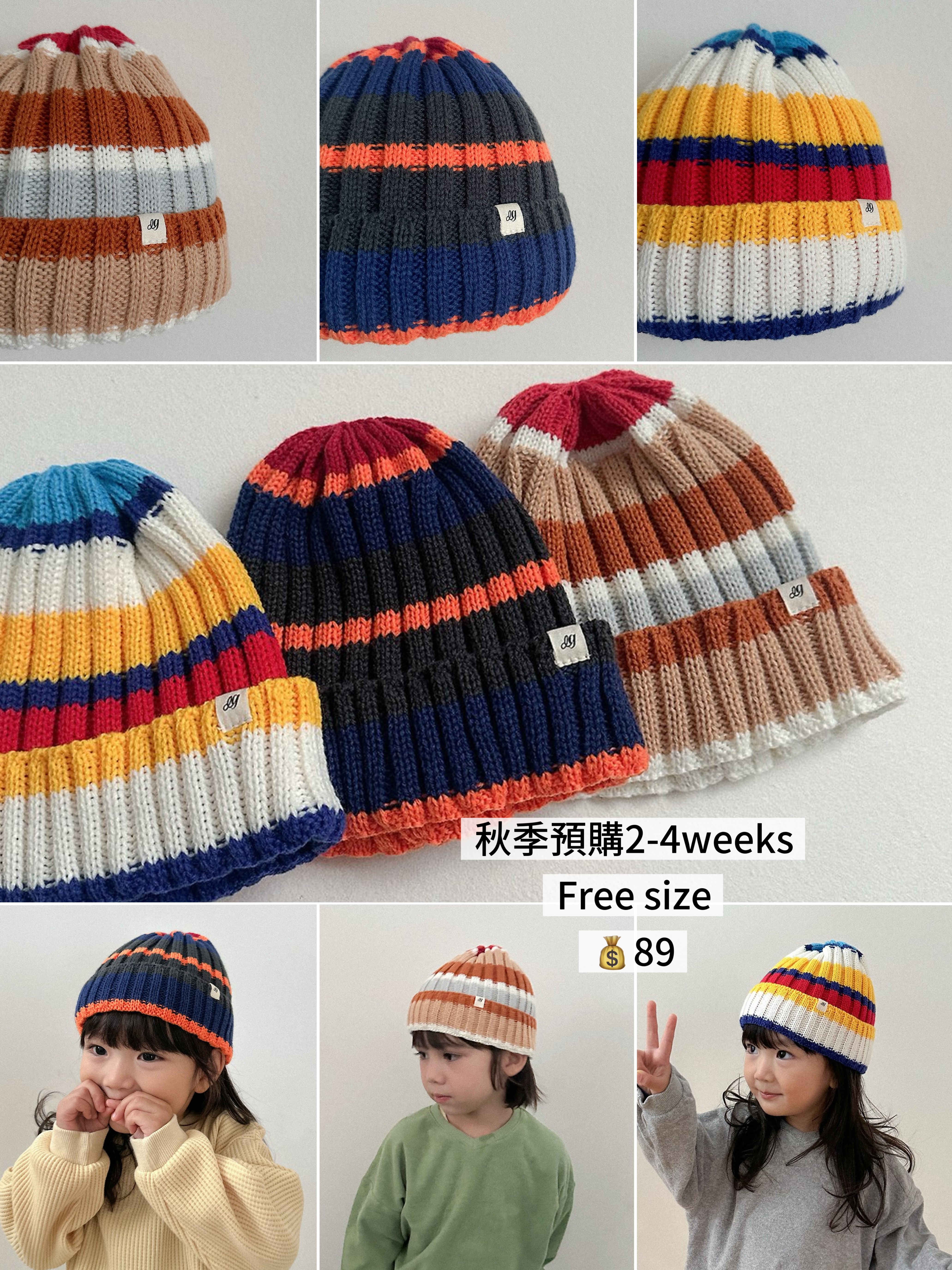 Digreen | multi beanie 