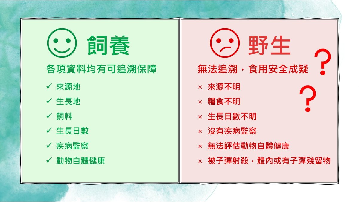 越飛龍甘氏無激素 鷓鴣皇 (300天)