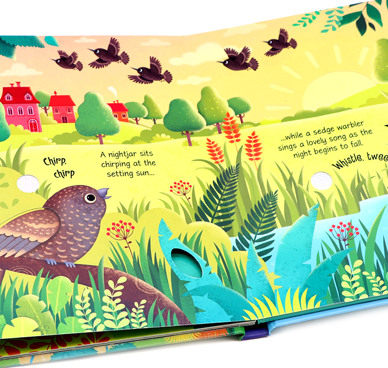 Usborne Bird Sounds book鳥類奇妙觸摸發聲書 