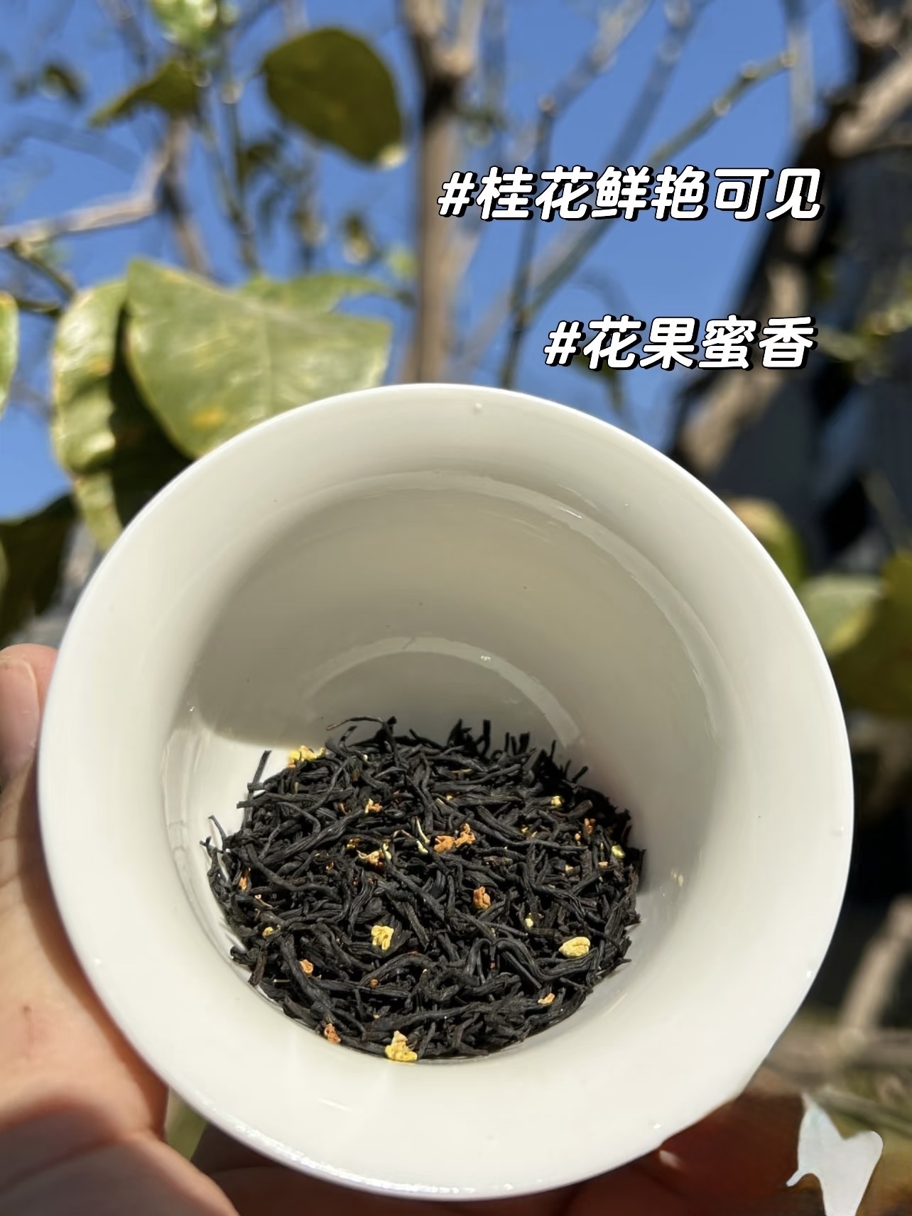 【敬世界一杯好茶】附送茶杯清新自然风格茶叶礼盒精致伴手礼套装礼物套装送礼推荐