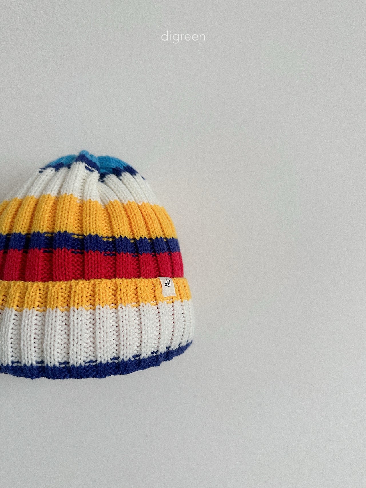 Digreen | multi beanie 