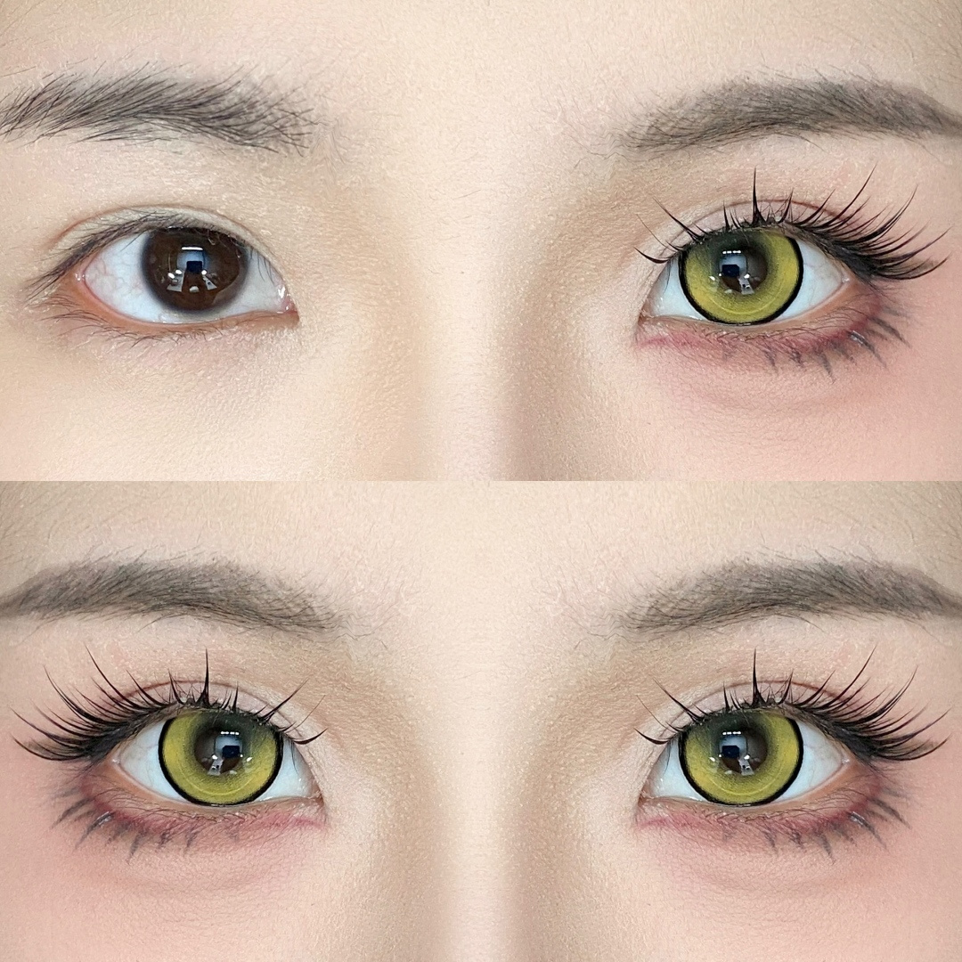 Dgugulens 日拋 系列 心跳躍動系列