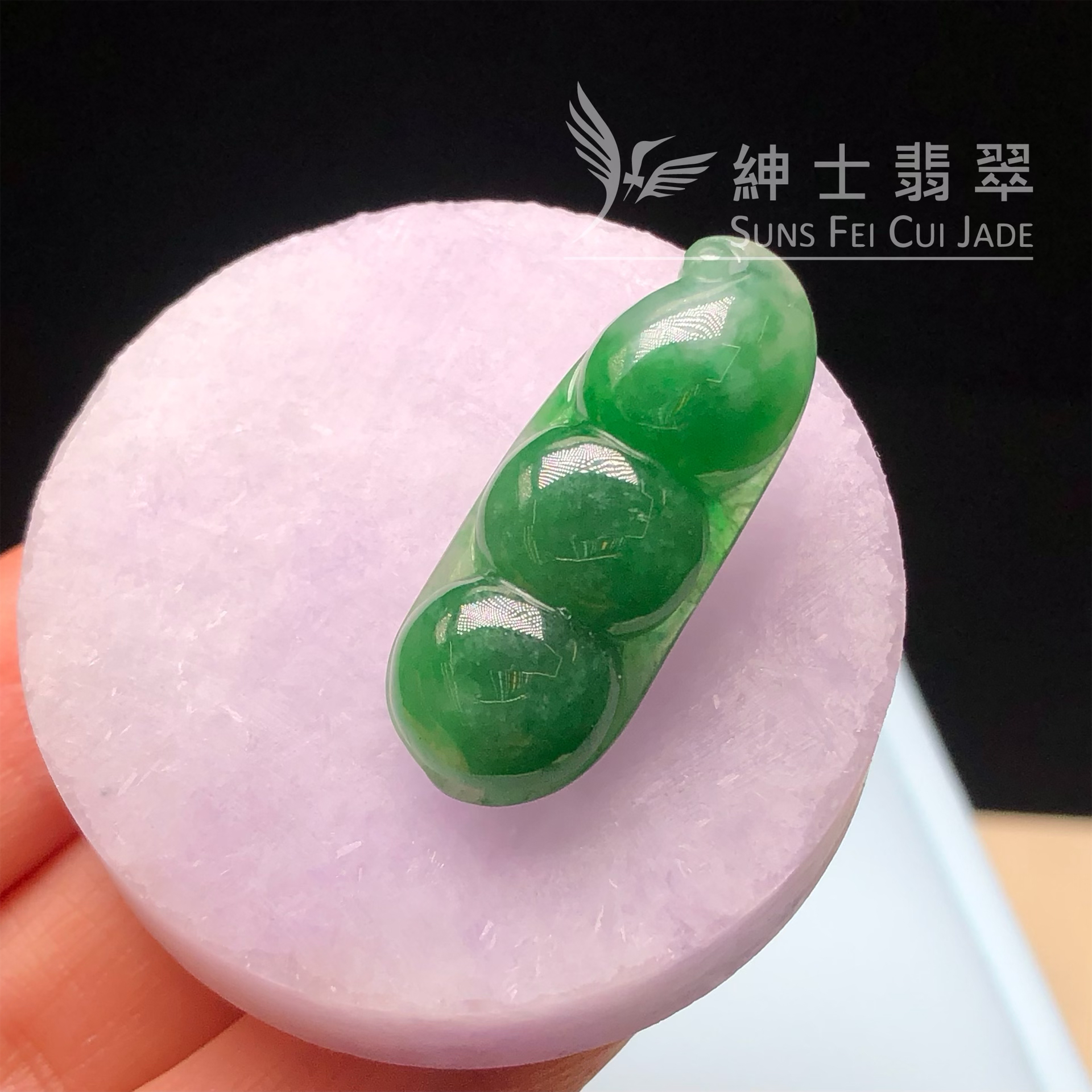 B08979 滿色福豆