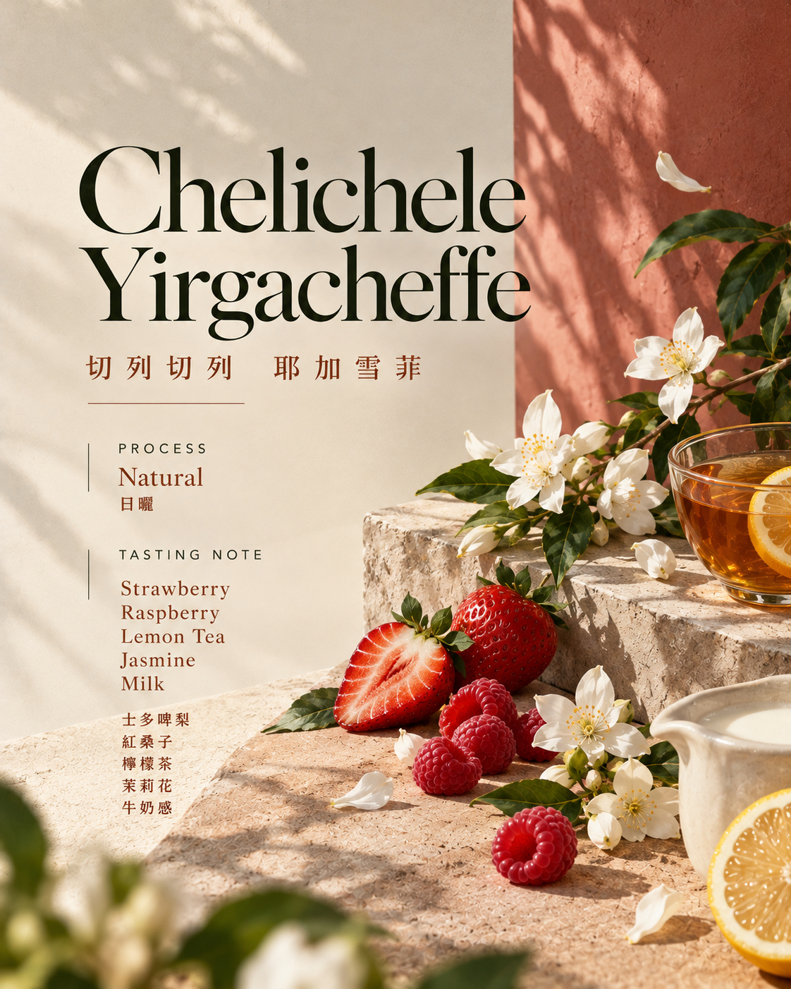 【Ethiopia 衣索比亞】Chelichele Yirgacheffe