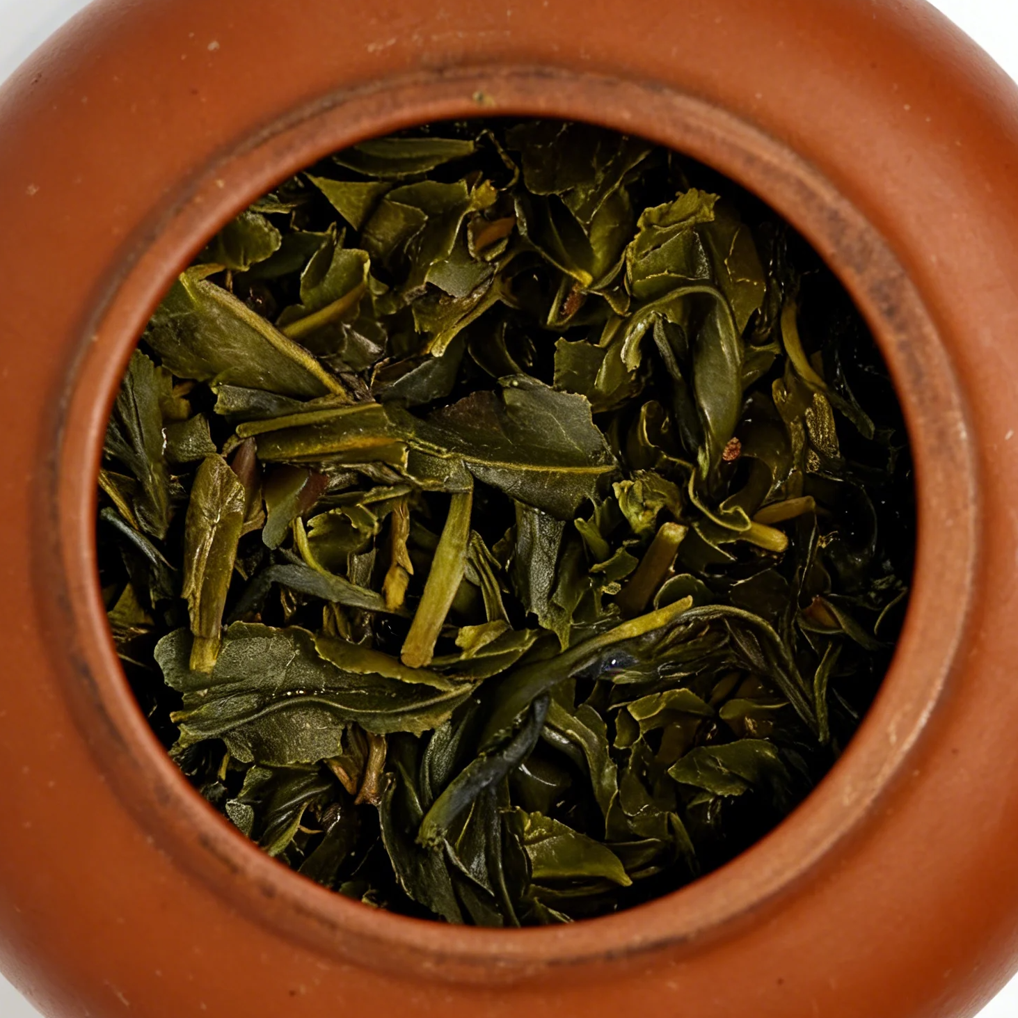 柏塘山茶 特級高山綠茶 | 廣東十大茶鄉 手工製作