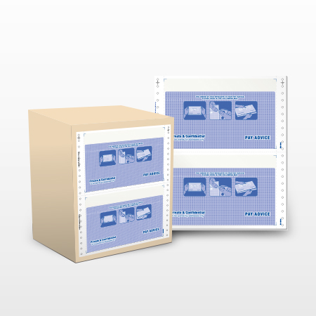 Pre-Printed Envelope Mailer Form (Payslip)