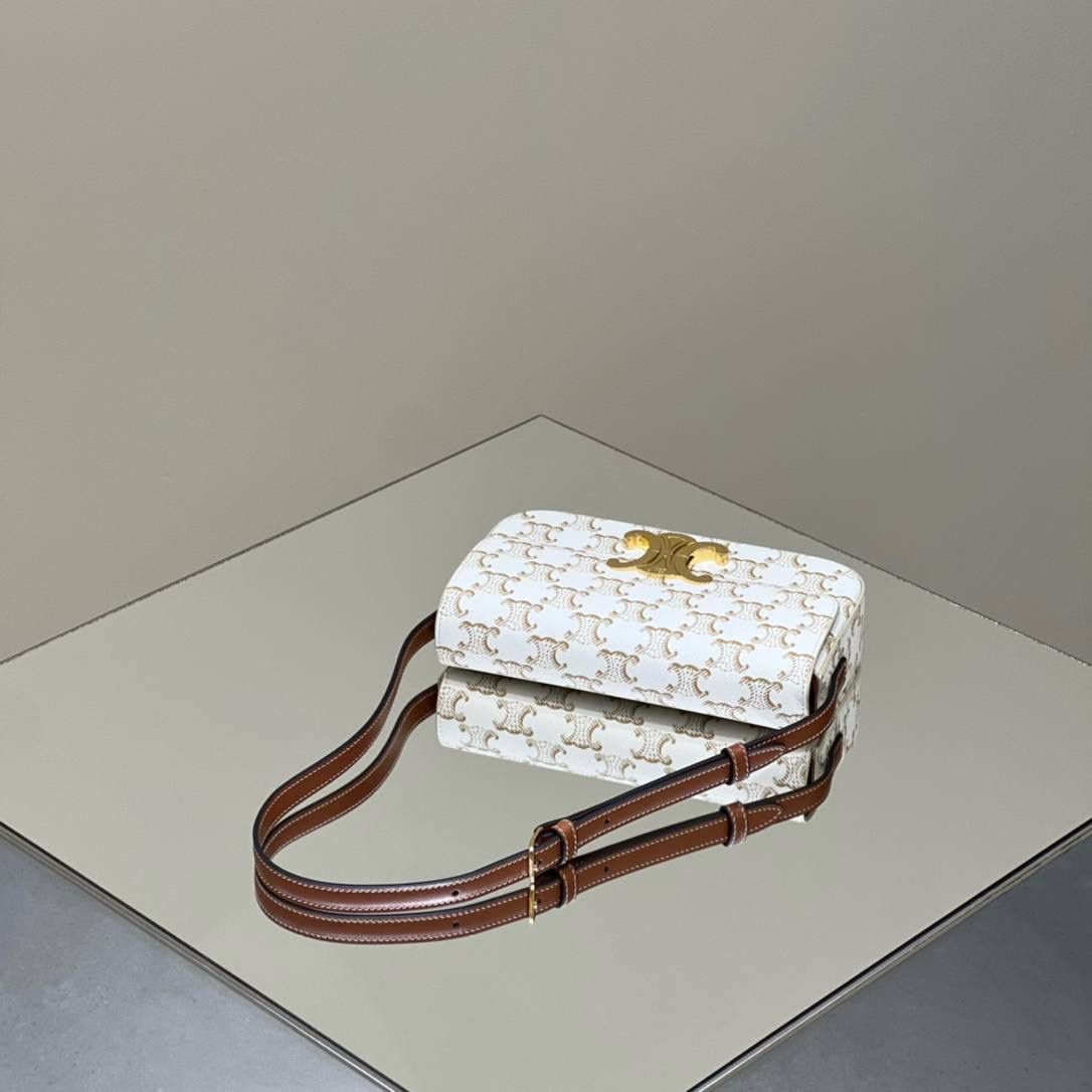 🔥大货实拍图 𝗖𝗘𝗟𝗜𝗡𝗘 ♥ 𝗧𝗥𝗜𝗢𝗠𝗣𝗛𝗘 𝗦𝗛𝗢𝗨𝗟𝗗𝗘𝗥 𝗕𝗔𝗚 型号：194142 尺寸：20*10*4cm