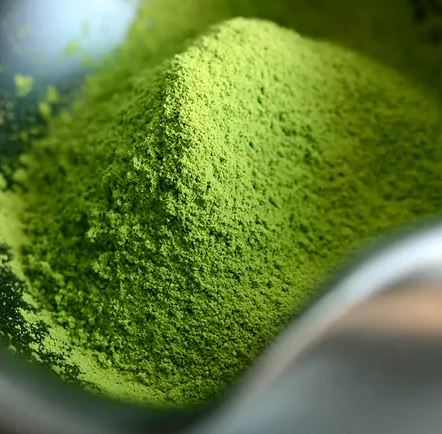 日本特濃無糖Uji宇治抹茶粉 雲龍芳香園 宇治綠茶40g  此日期或之前食用： 2026.12