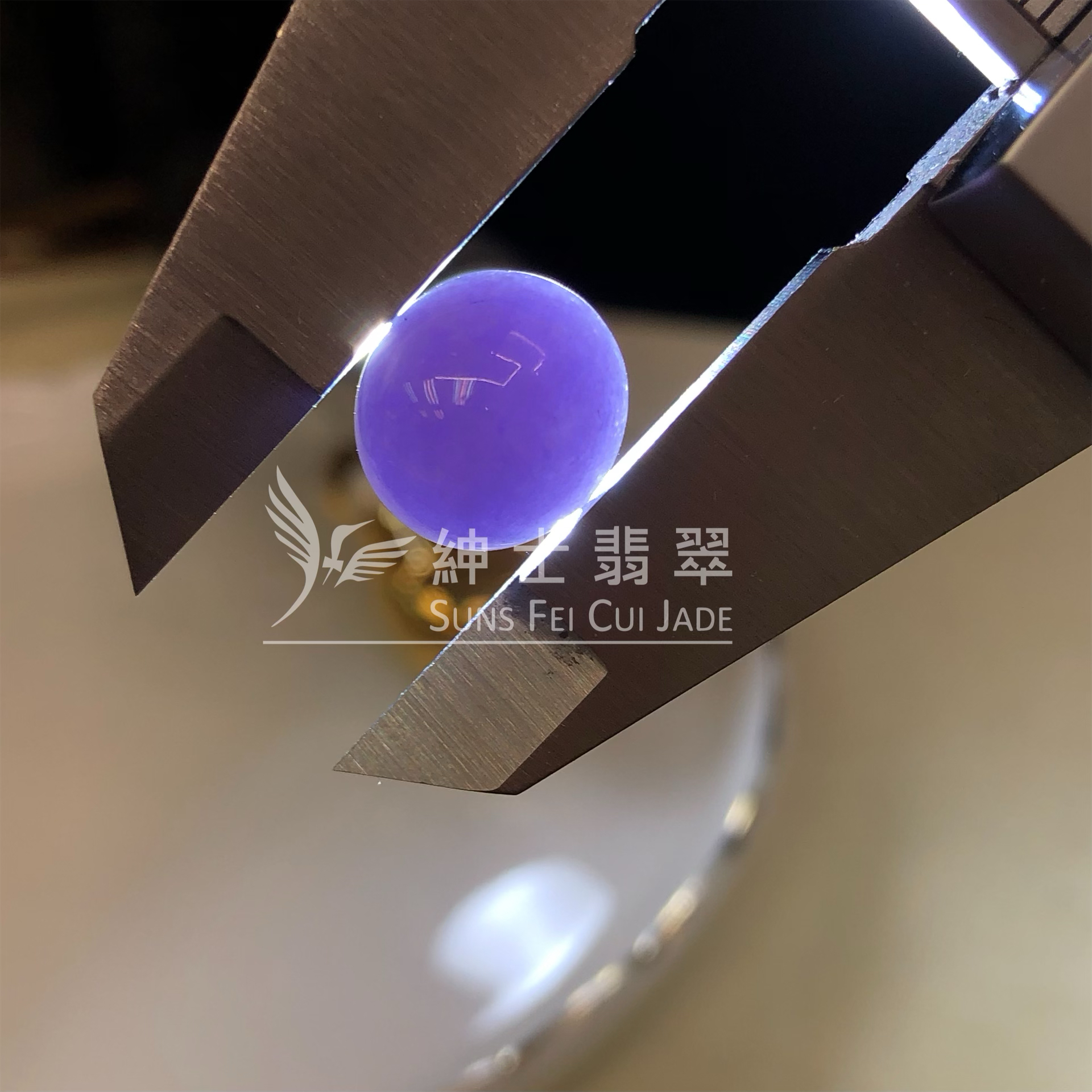 F00453 正紫蛋面