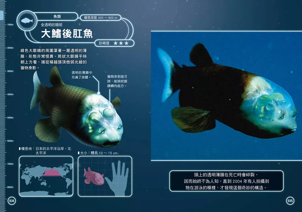西北國際 深海生物大百科