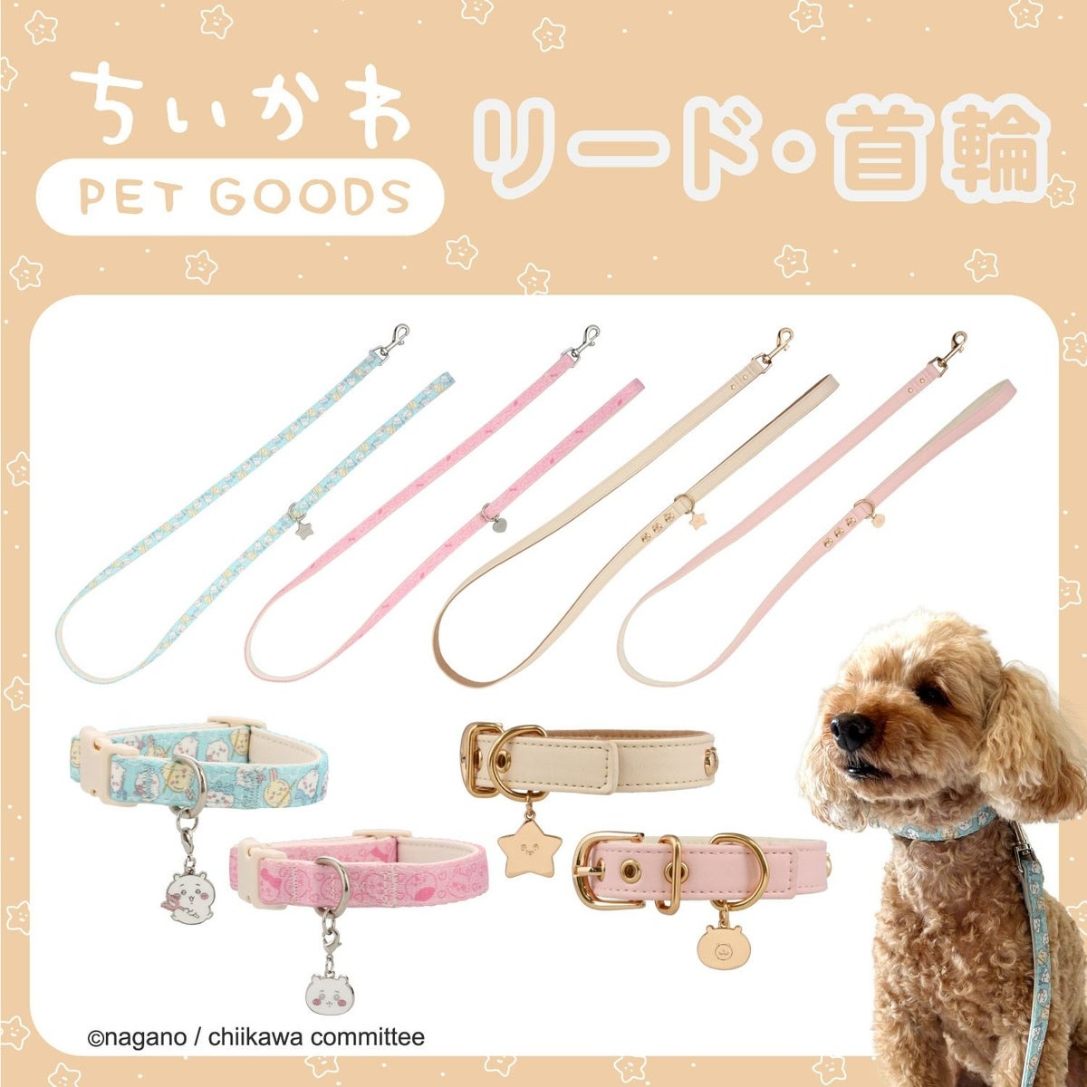 🌸 【預訂】Chiikawa 小型犬用 狗帶 