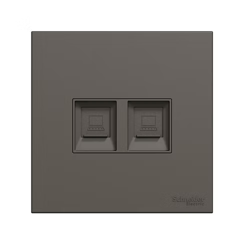 施耐德 奐然AvatarOn C 石墨灰 CAT3電話+CAT5E數據插座