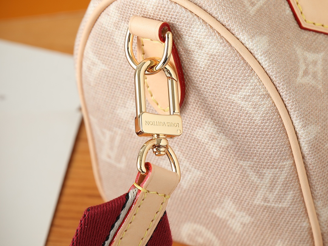 LV Louis Vuitton Speedy Bandouliere 20