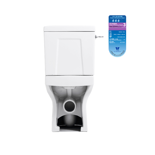 Richford R666D 納米 傷殘自由咀座廁 