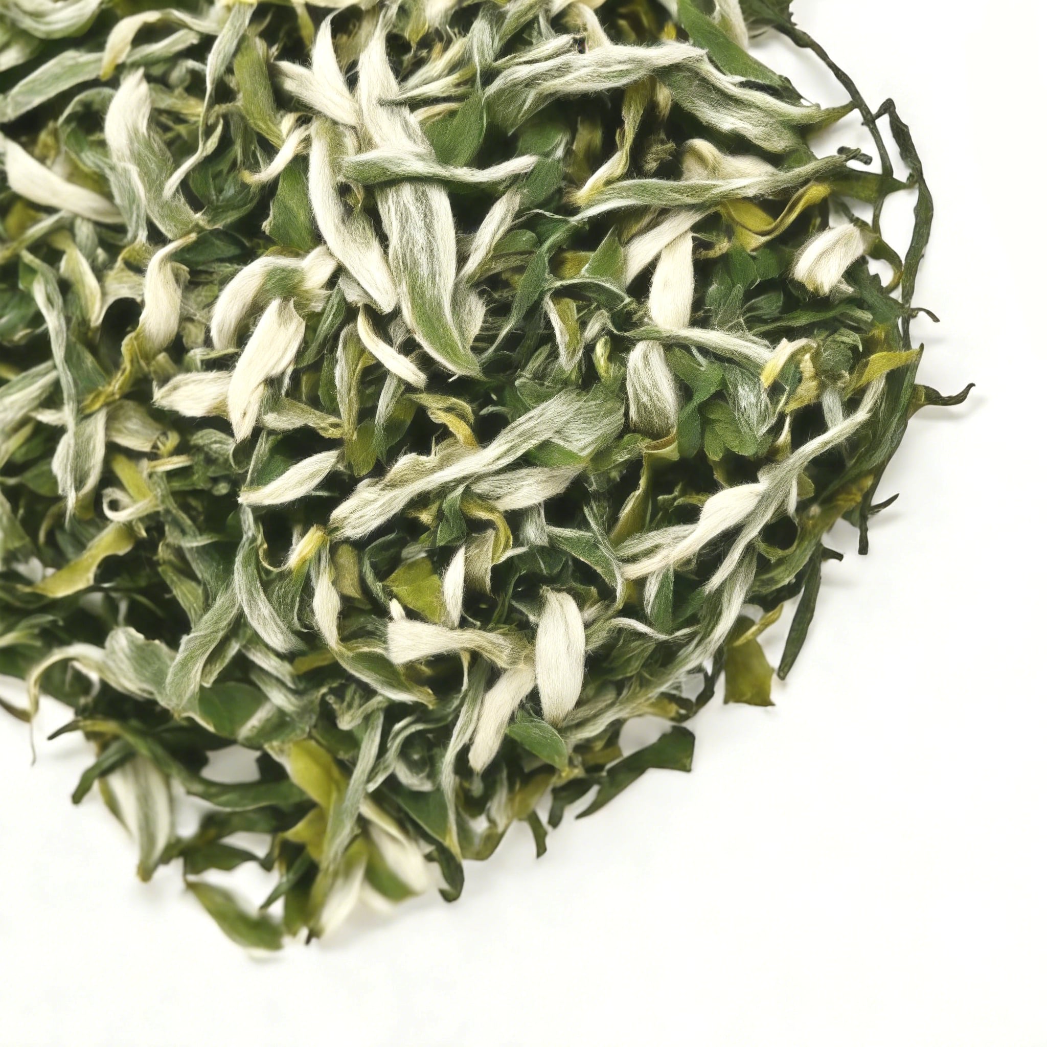 湖南平江白寺毛尖 高山嫩芽綠茶 | 北緯 30° 有機茶