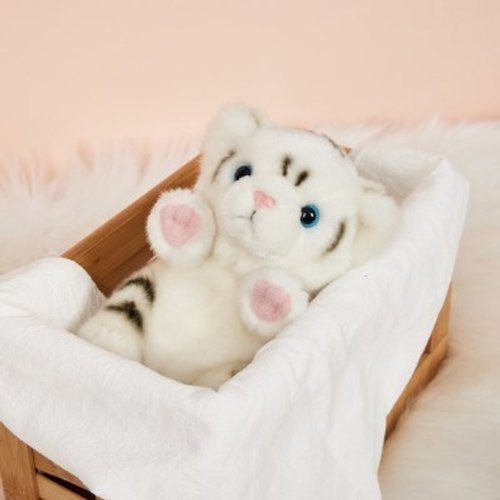 📦訂購 韓國代購 Everland 愛寶樂園 白老虎 (S) 毛絨公仔🧸