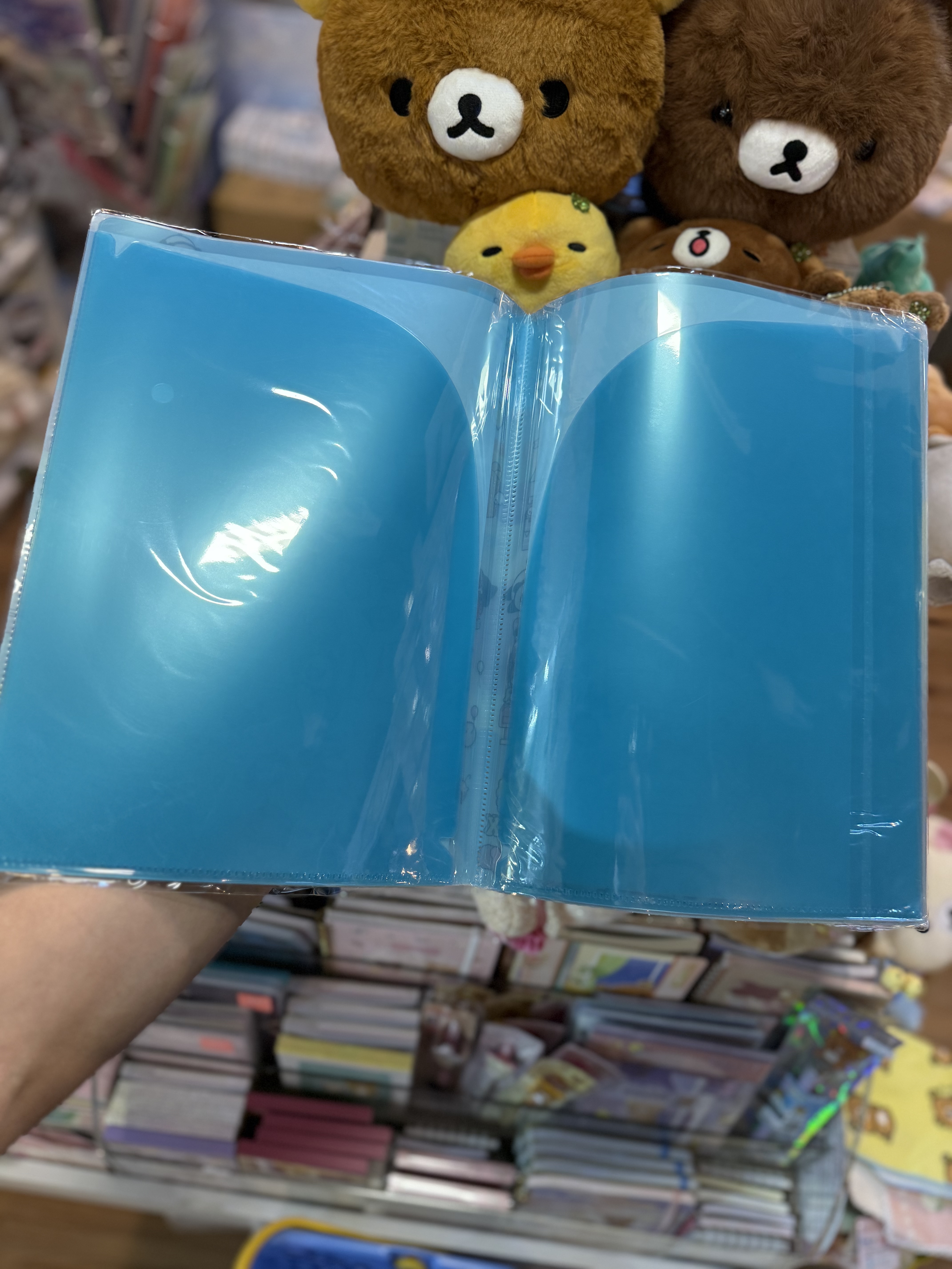 《現貨》全新San-x全員共演系列A4 /A3分頁file