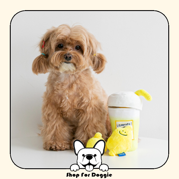 韓國 Bite Me Secondmorning Lemonade 藏食玩具