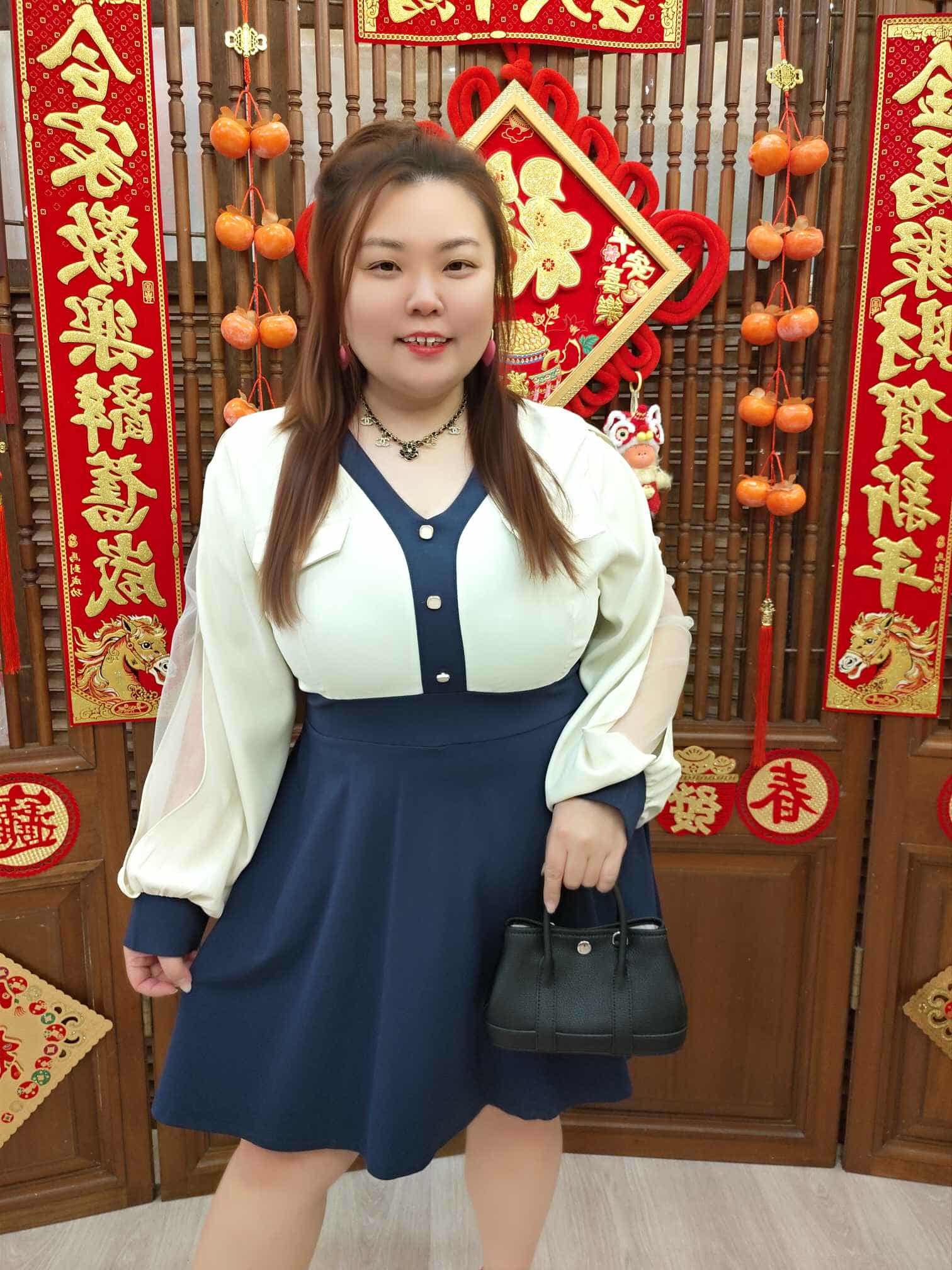 DBD13 TW#5281 长袖V领网纱连衣裙