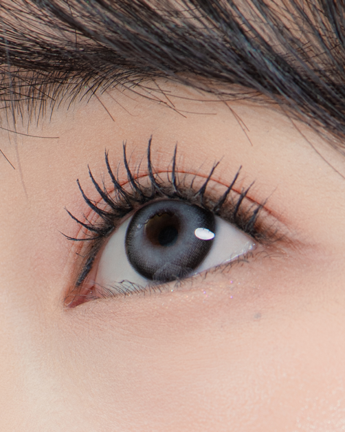 SIESTA - With Basic Gray (1day/10P)