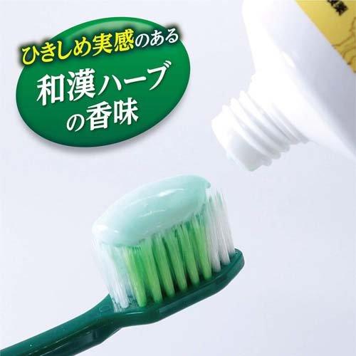 小林製藥-小林製藥生葉牙齦緊緻牙膏 100g【平行進口】