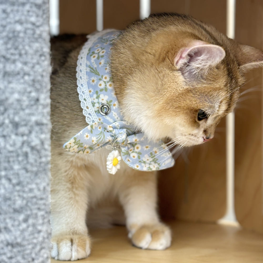 韓國 handmade 花花cape