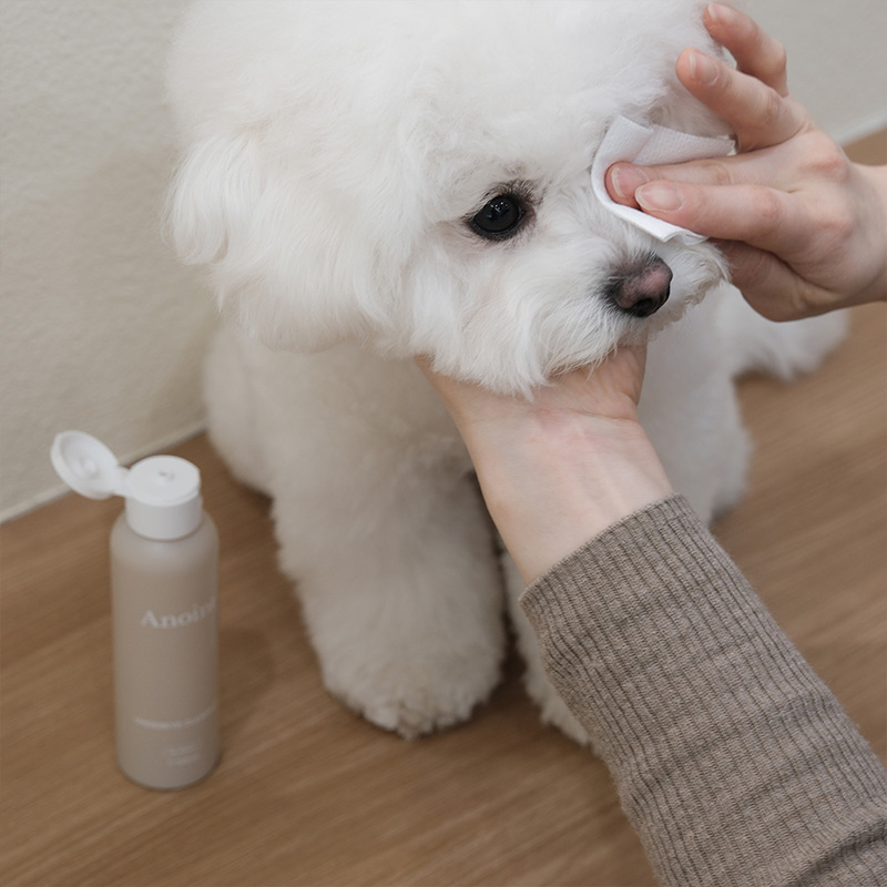 韓國 Anoint | 眼下淚痕清潔液 Undereye Cleanser 30ml