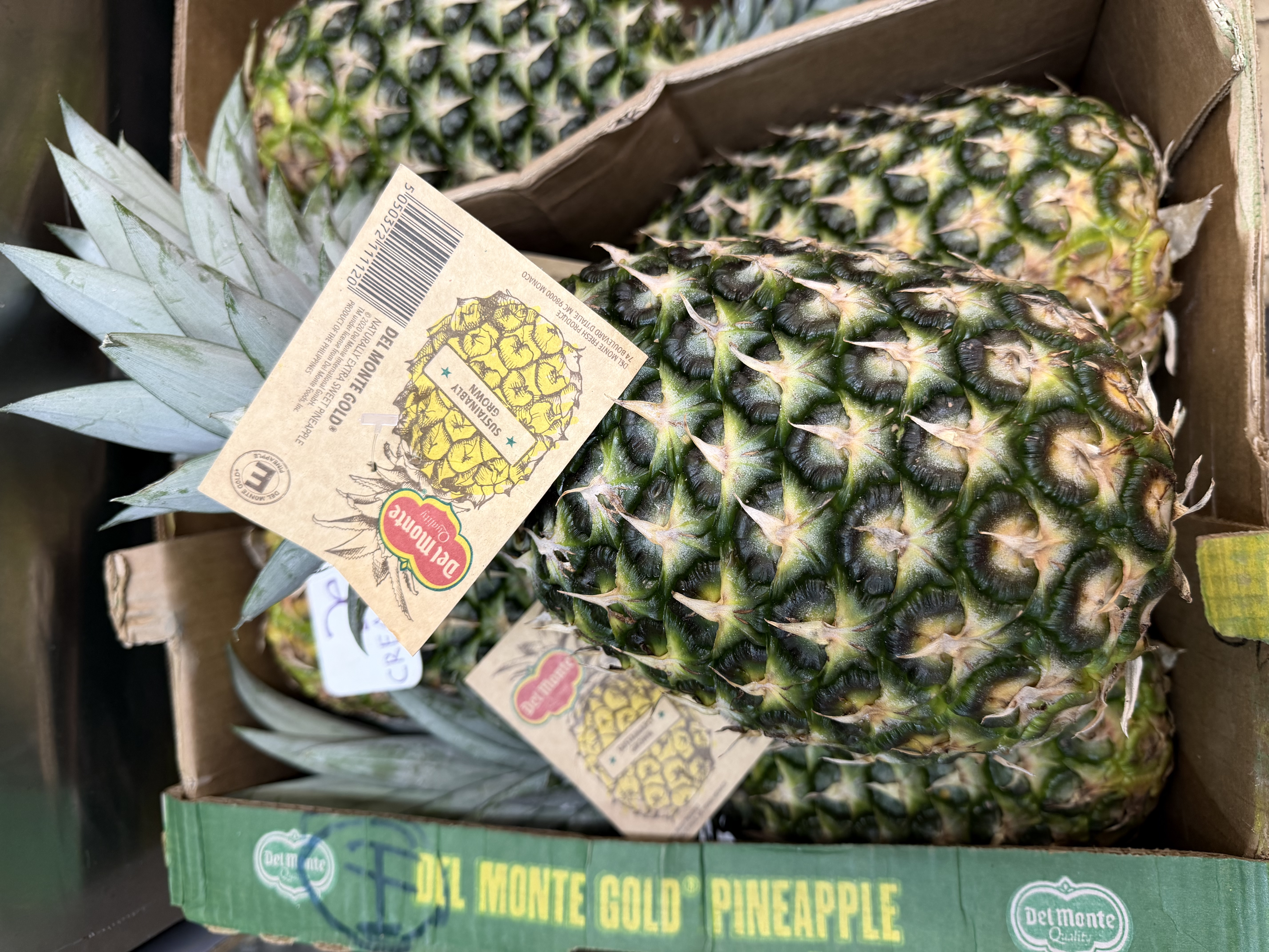 菲律賓地捫金菠蘿 Philippine Del Monte Gold® Pineapple