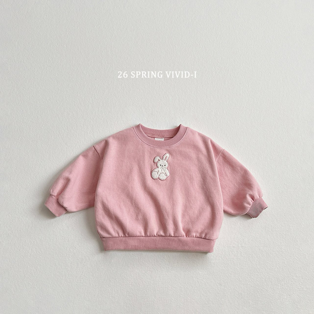 🌸預訂 韓國直送🌸🇰🇷VIVIDI三色動物刺繡貼花寬鬆衛衣