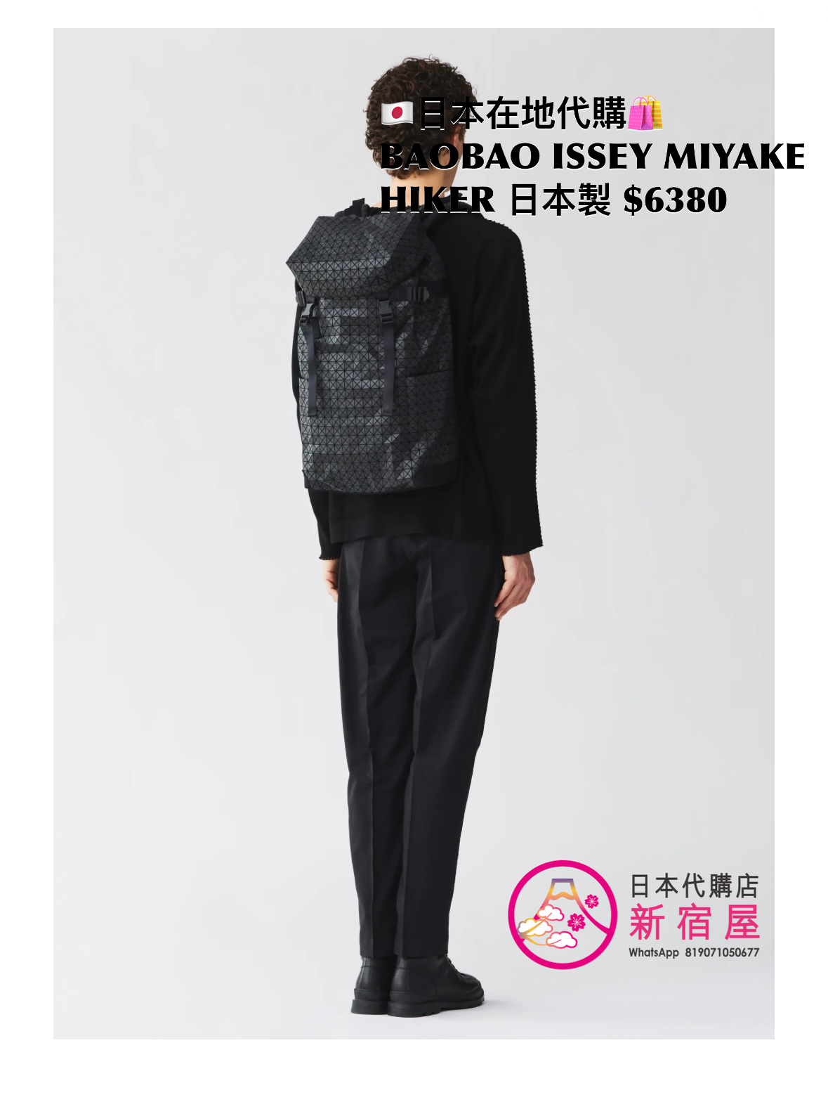 BAOBAO ISSEY MIYAKE HIKER