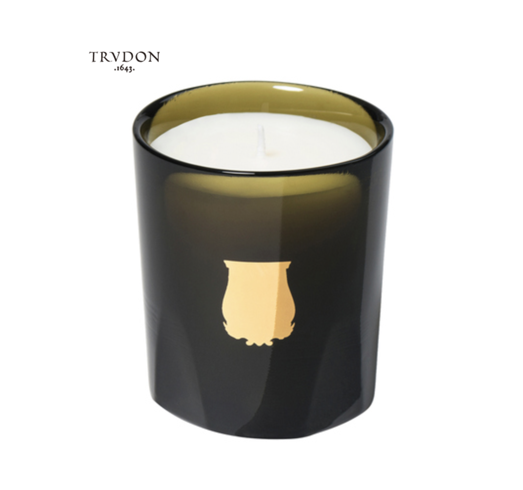 TRUDON Ernesto 皮革與煙草 法國純天然香氛蠟燭 (2 Sizes)