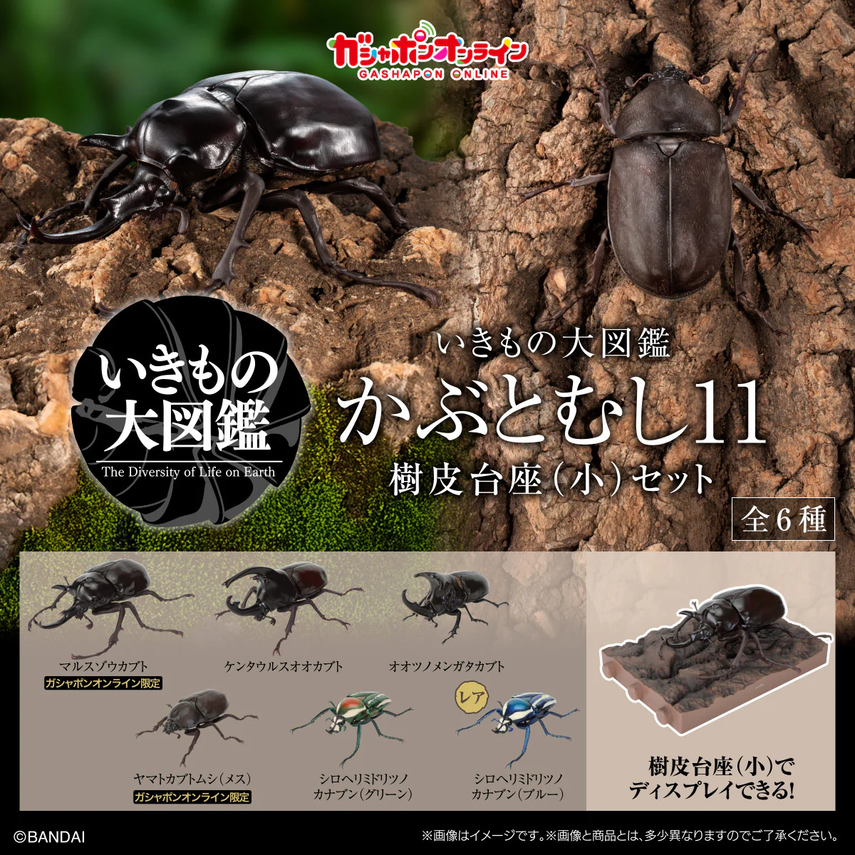 P-BANDAI - [魂SHOP限定] [GOL] 生物大圖鑑 甲蟲 11 細樹皮底座套裝