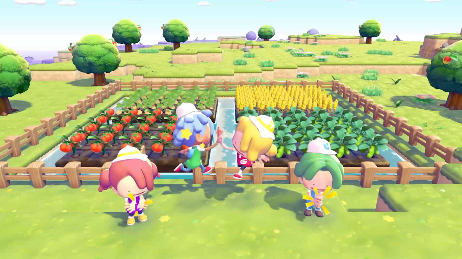 NS2 Pokemon Pokopia＋擴充票組合
